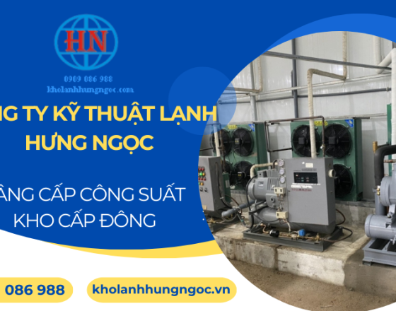 Tại sao cần nâng cấp năng suất kho cấp đông?